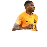 FC모바일 FIFA 월드컵 2022™ 덴젤 둠프리스 선수 카드